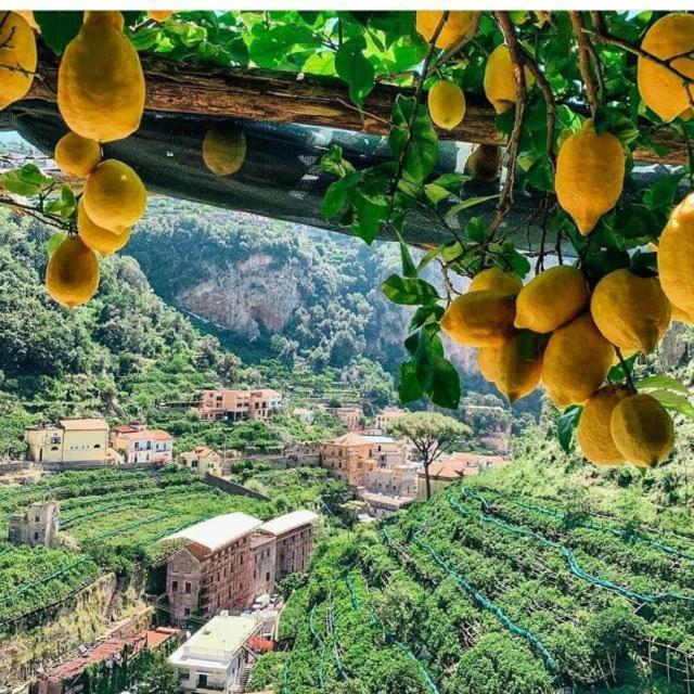 La Valle Delle Ferriere Alojamento de Acomodação e Pequeno-almoço Amalfi